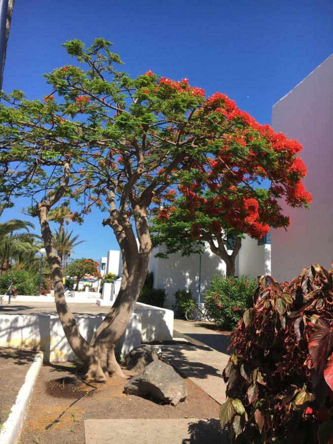 Апартаменты Los Barqueros Corralejo "Beach Front - Town Centre" Экстерьер фото